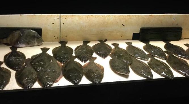 Anglers gear up for public scope meeting regarding flounder regulations